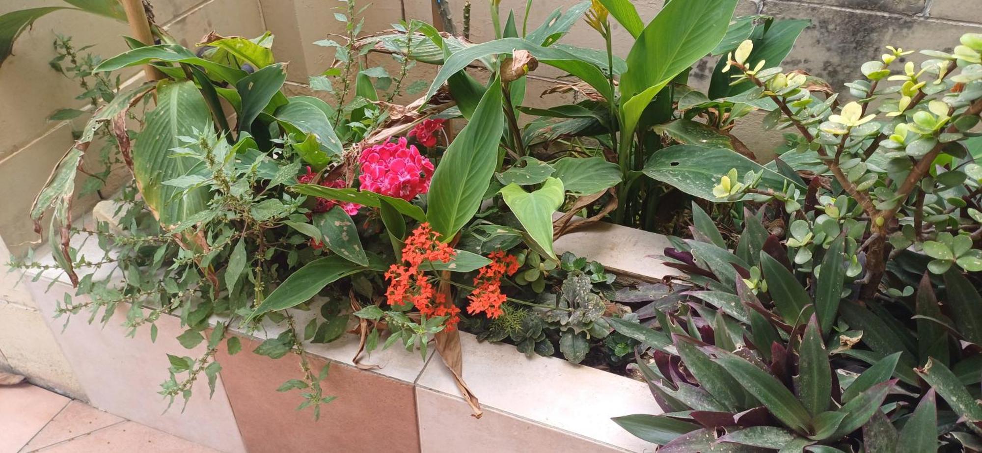 Cosy Spacious Maisonette มาร์ซาสคาลา ภายนอก รูปภาพ